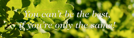 Oak Bank photo 1.jpg