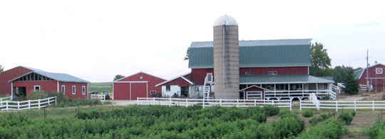 Eplegaarden photo 1.jpg