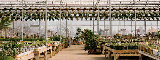 Fitchburg farms photo 1.jpg