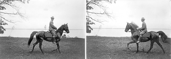 Glass negative article