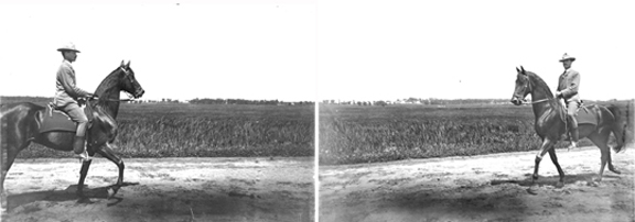 Glass negative article