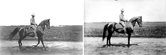 Glass negative article