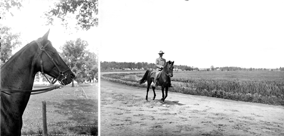 Glass negative article