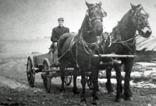 Horse and wagon